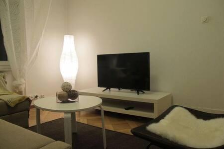Newly Furnished Apartment in Цюрих Екстериор снимка